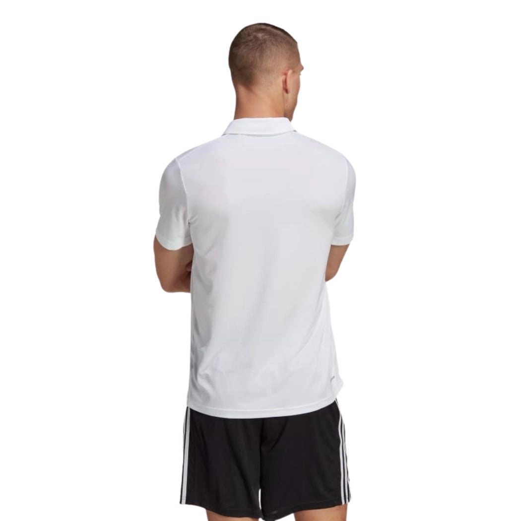 adidas Train Essentials Training Men's Polo Shirt