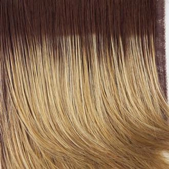 Breeze Wig by Raquel Welch | Synthetic (Traditional Cap)
