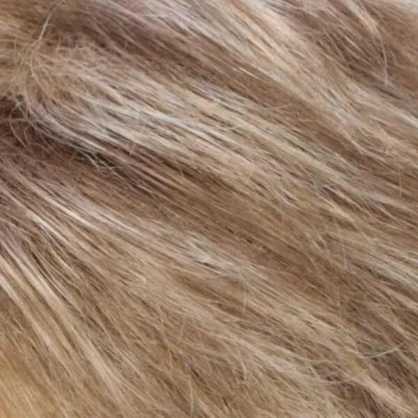 Colleen Wig by Estetica Designs | Synthetic (Traditional Cap)