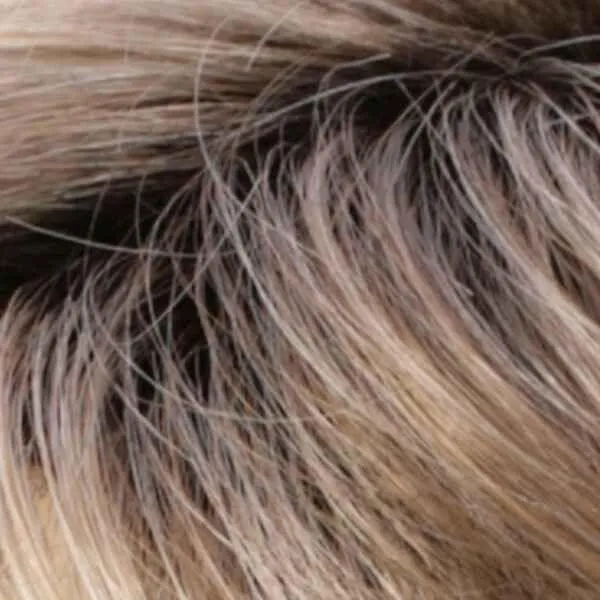 Colleen Wig by Estetica Designs | Synthetic (Traditional Cap)