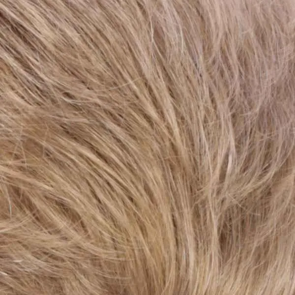 Colleen Wig by Estetica Designs | Synthetic (Traditional Cap)