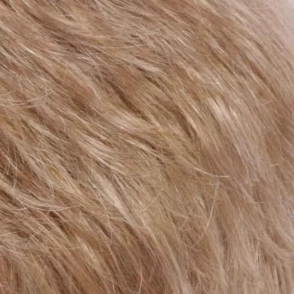 Compliment Wig by Estetica Designs | Synthetic (Traditional Cap)