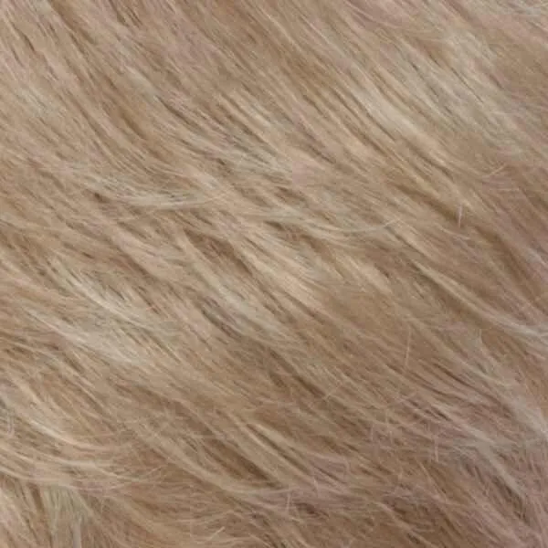 Compliment Wig by Estetica Designs | Synthetic (Traditional Cap)