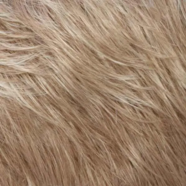 Diana Wig by Estetica Designs | Synthetic (Traditional Cap)