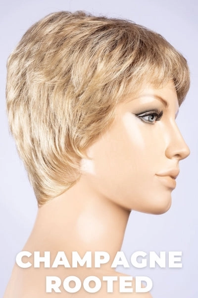 Ellen Wille Wigs - Call