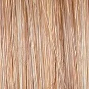 Enchant Wig by Raquel Welch | Heat Friendly Synthetic (Traditional Cap)