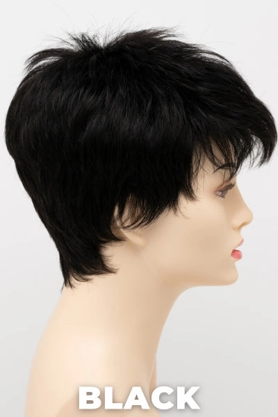 Envy Wigs - Ivy