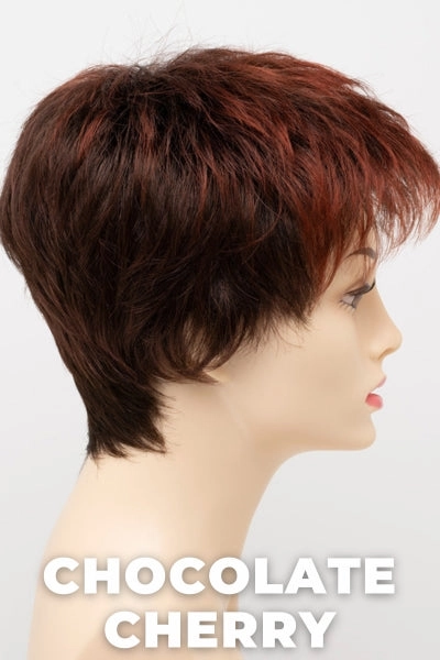 Envy Wigs - Ivy