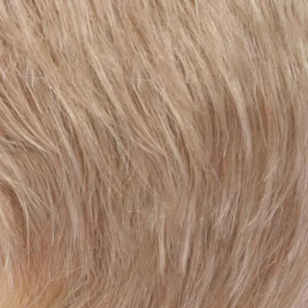 Evette Wig by Estetica Designs | Synthetic (Traditional Cap)