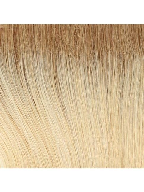 Glamour and More Wig by Raquel Welch | Lace Front (Mono)