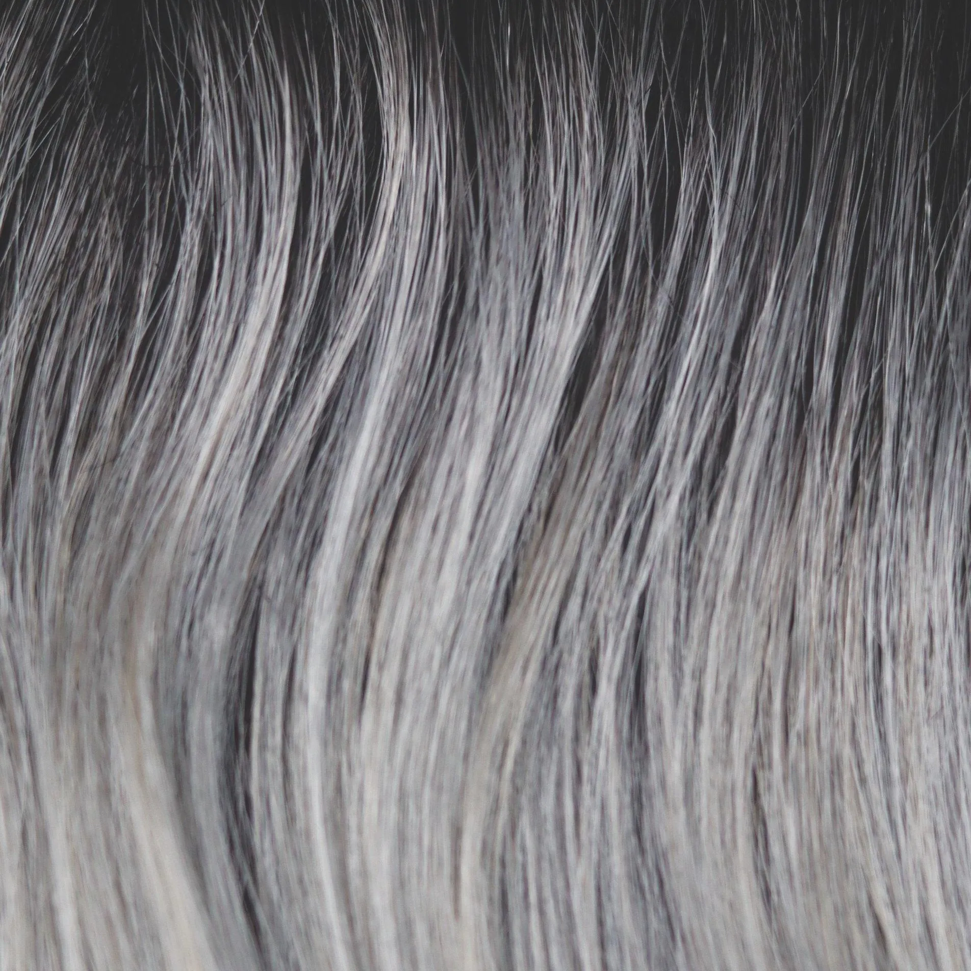 Hallie Wig by Rene of Paris | Synthetic Lace Front (Basic Cap)