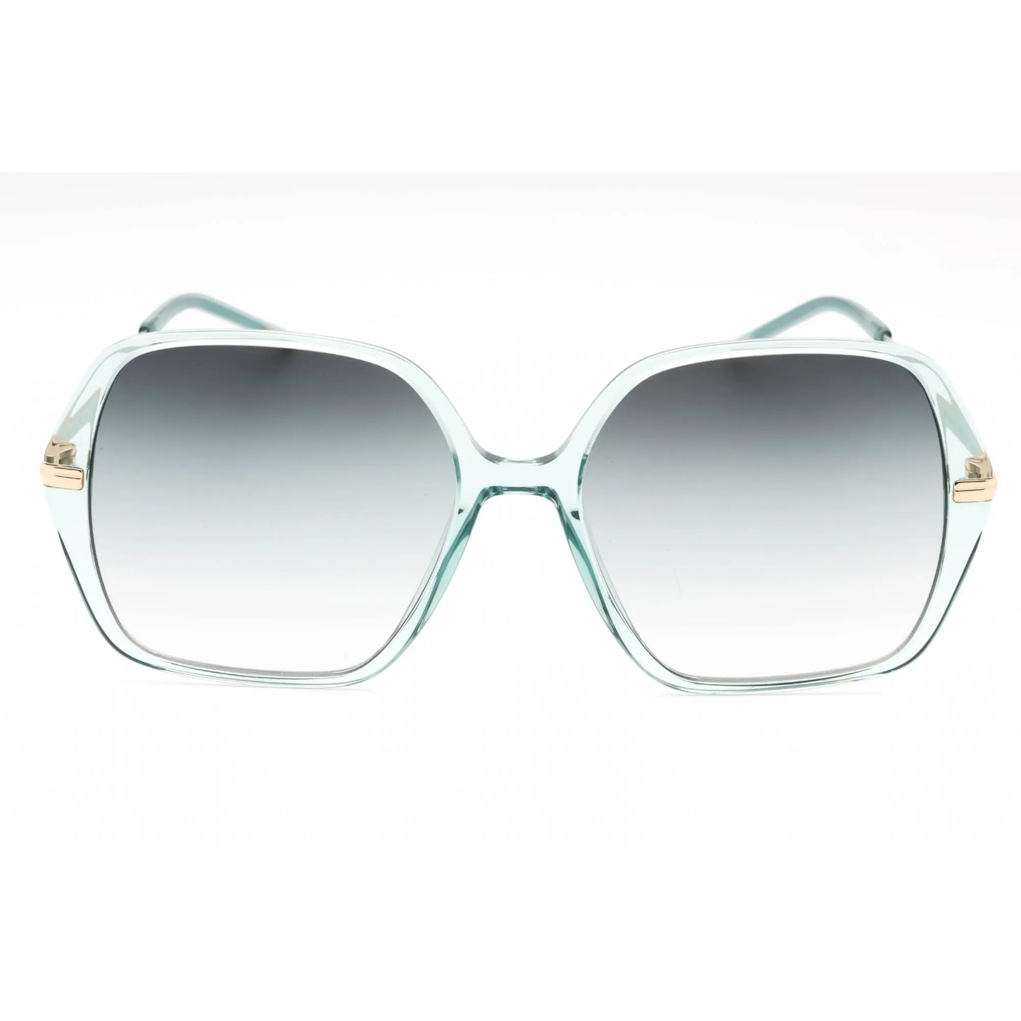 Hugo Boss Women's Sunglasses - Gold Green Oversized Full Rim | BOSS 1660/S 0PEF IB