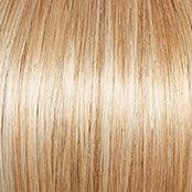 Innuendo Wig by Gabor | Synthetic (Traditional Cap)