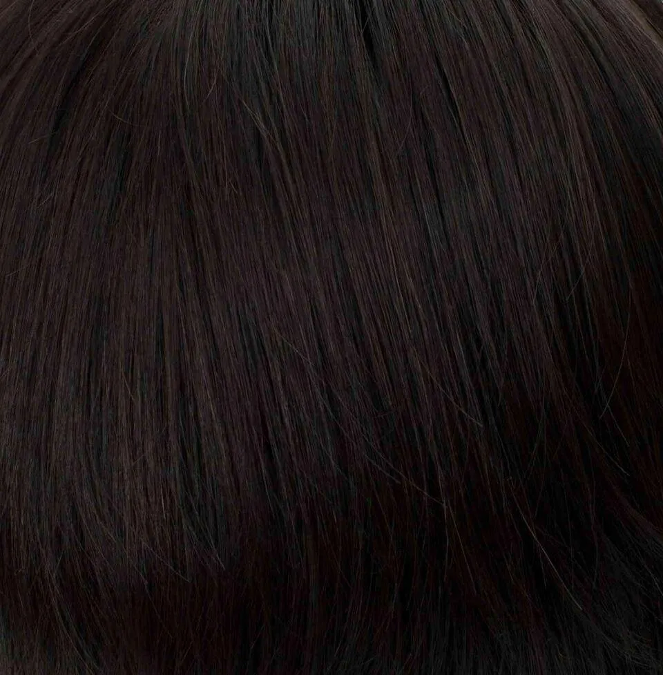 Pin Up Clip-On Hairpiece by Tony of Beverly | Synthetic Hairpiece