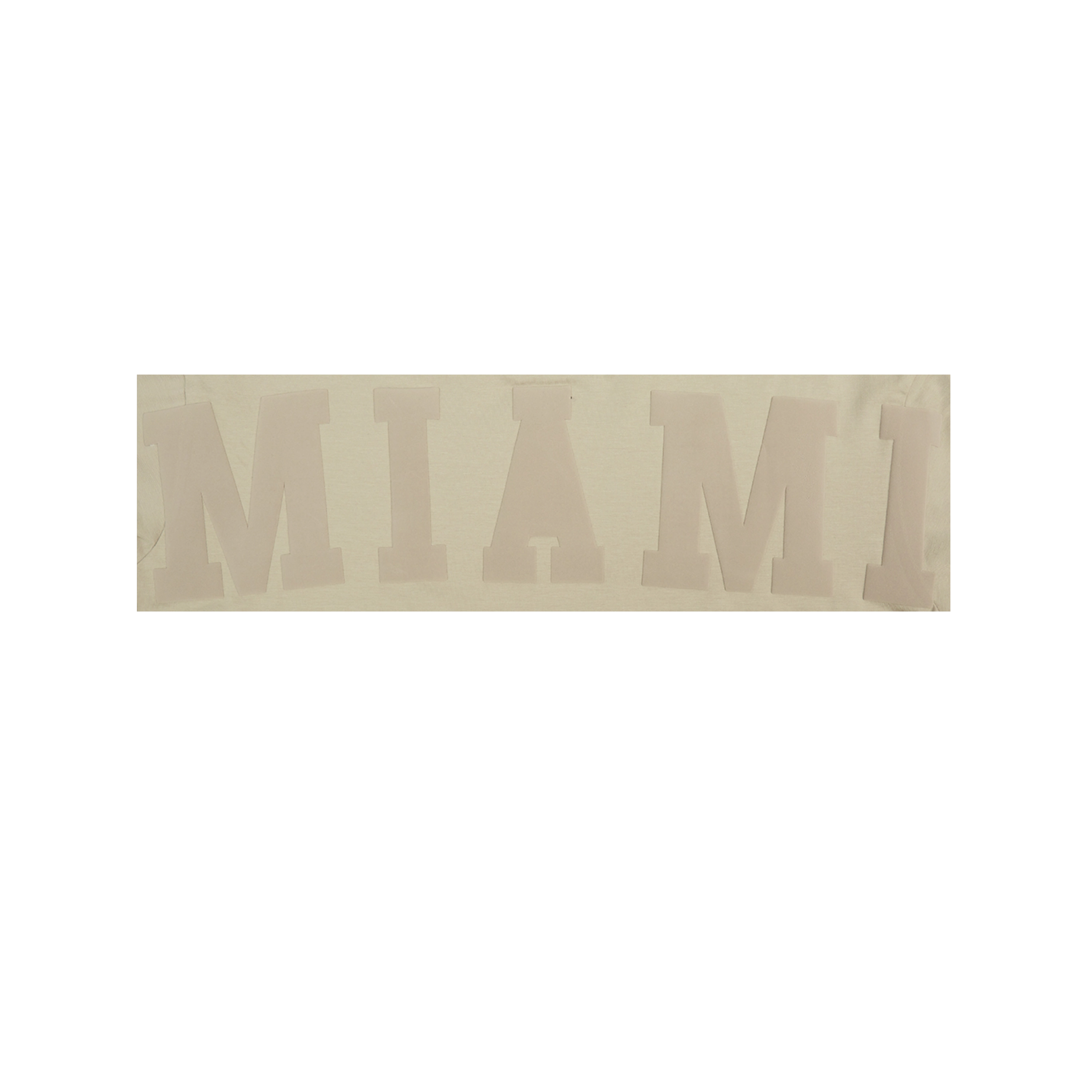 Pro Standard Miami HEAT Boxy Wingspan Women's Crop Tee