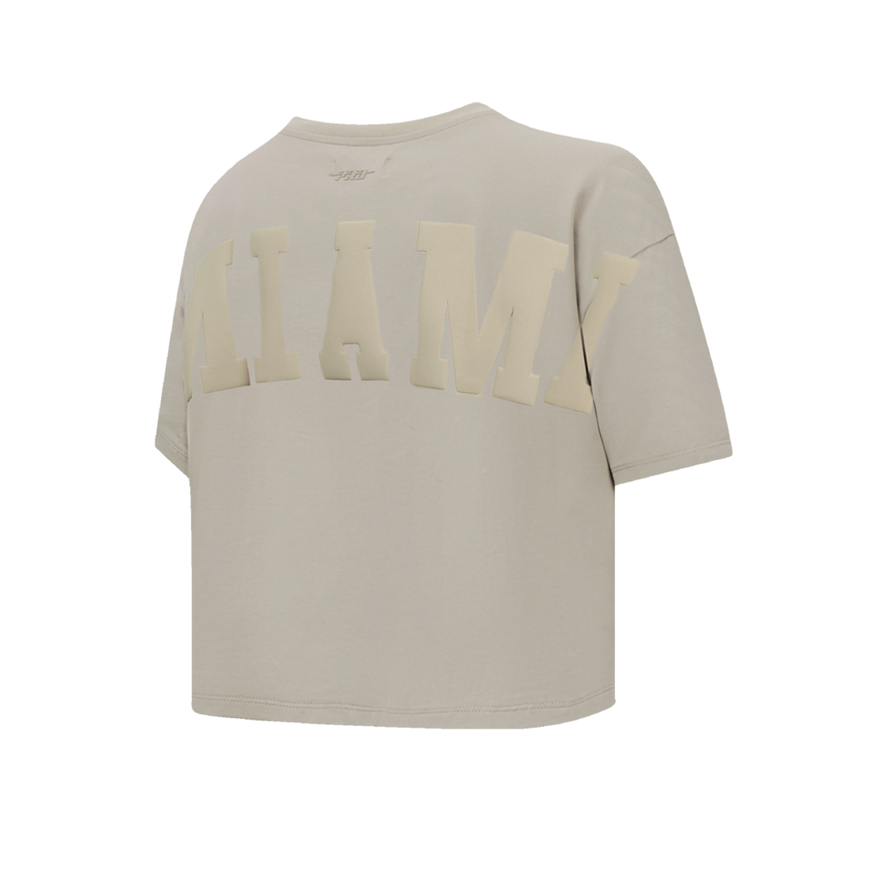 Pro Standard Miami HEAT Boxy Wingspan Women's Crop Tee