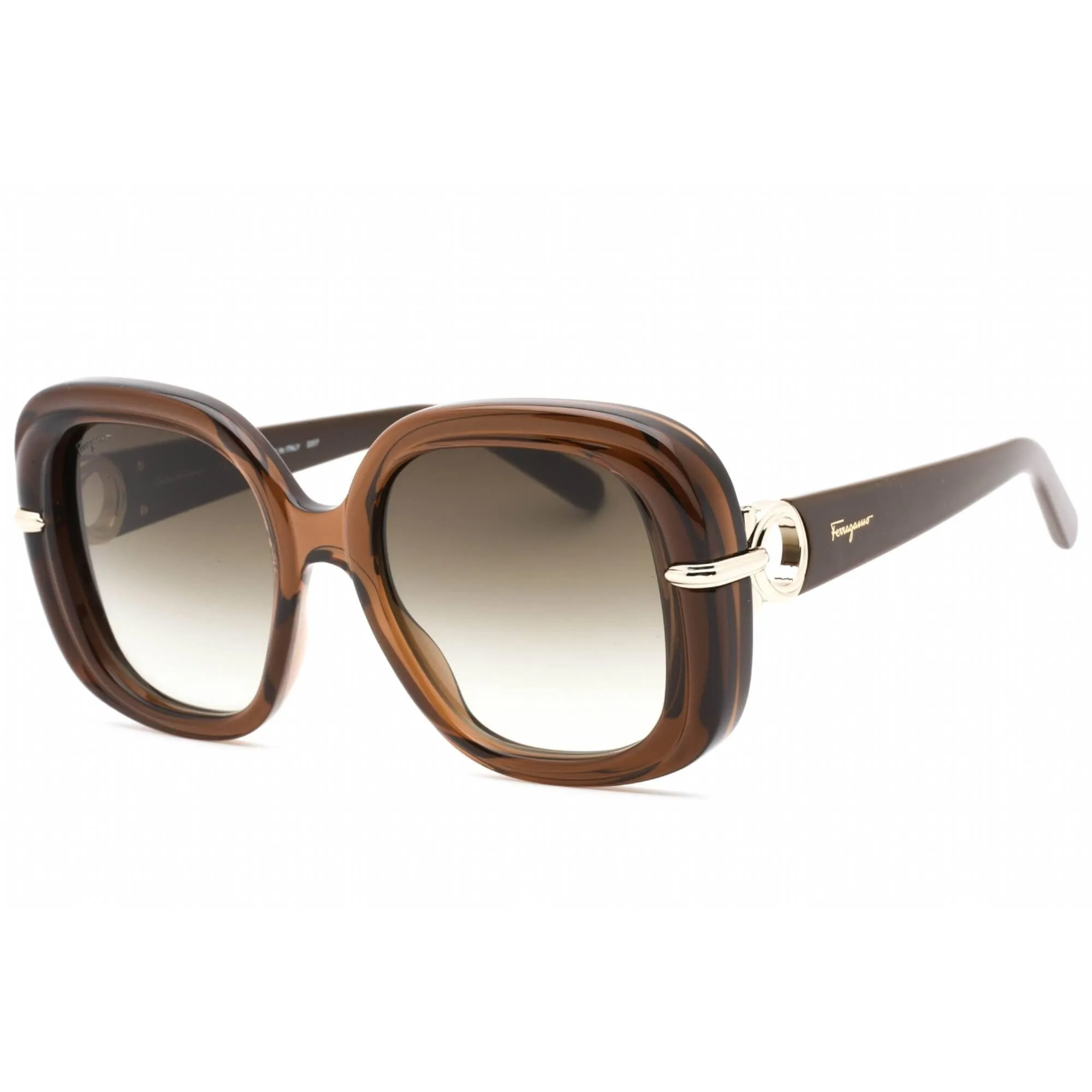 Salvatore Ferragamo Women's Sunglasses - Transparent Brown Plastic Frame | SF1058S 232
