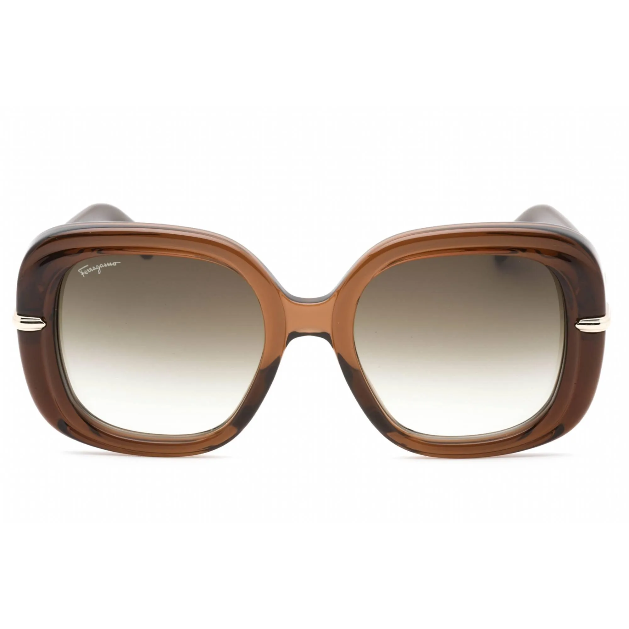 Salvatore Ferragamo Women's Sunglasses - Transparent Brown Plastic Frame | SF1058S 232